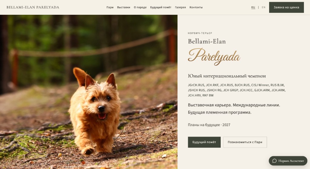 Norwich Terrier — Лёгкий лендинг