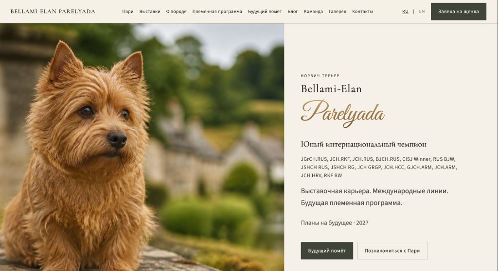 Norwich Terrier — Pari: главная страница сайта